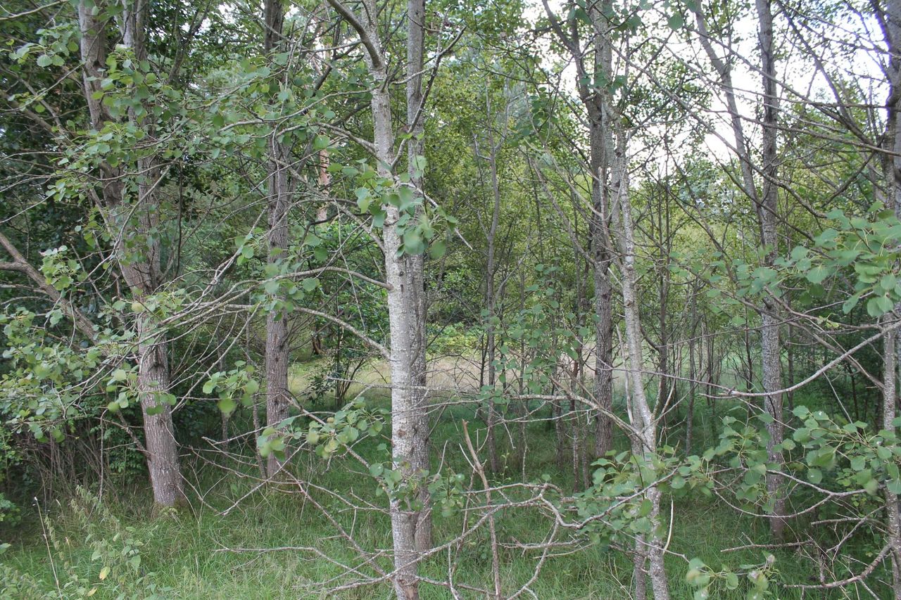 image 03