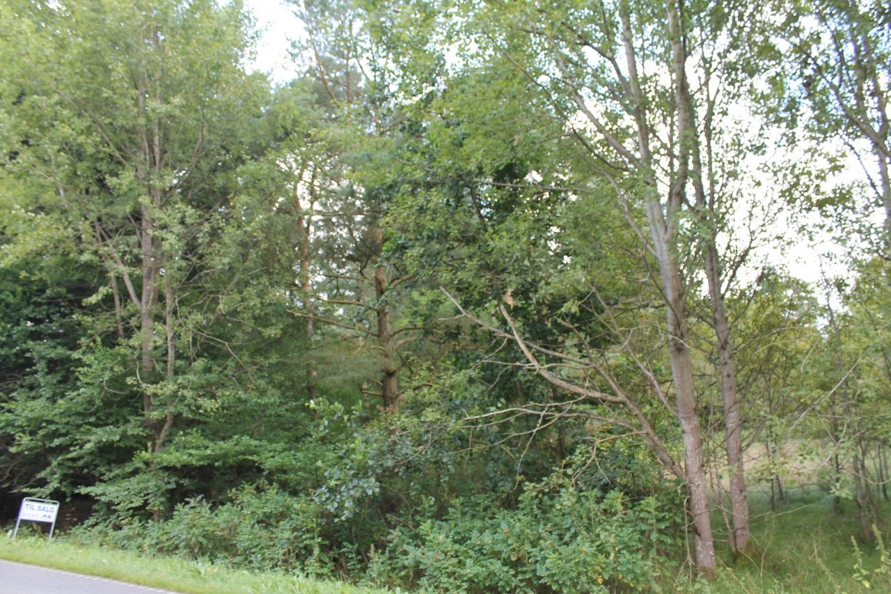 image 02