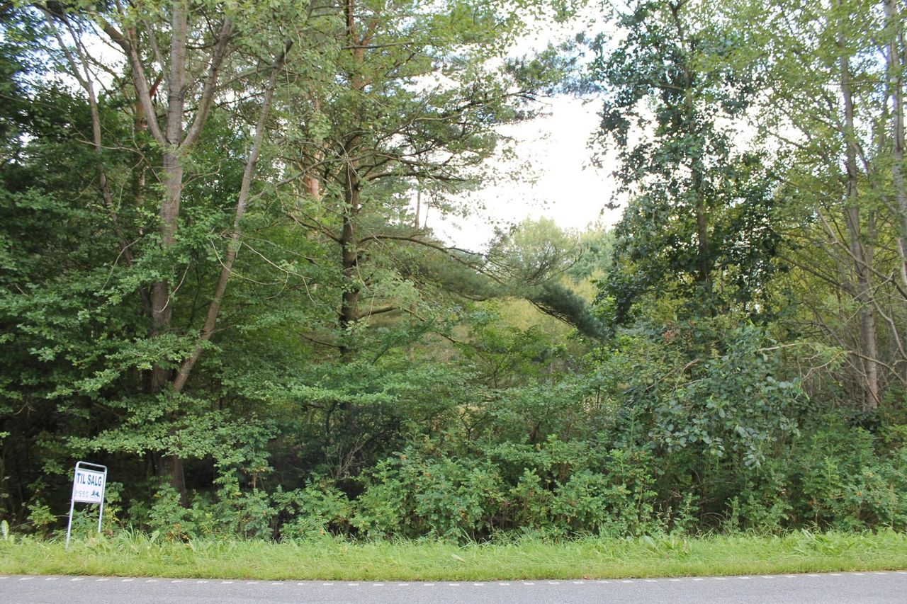 image 01