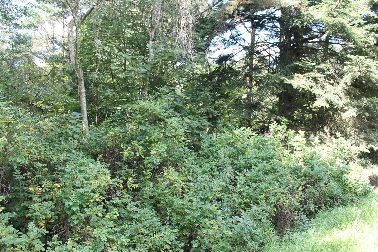 image 04