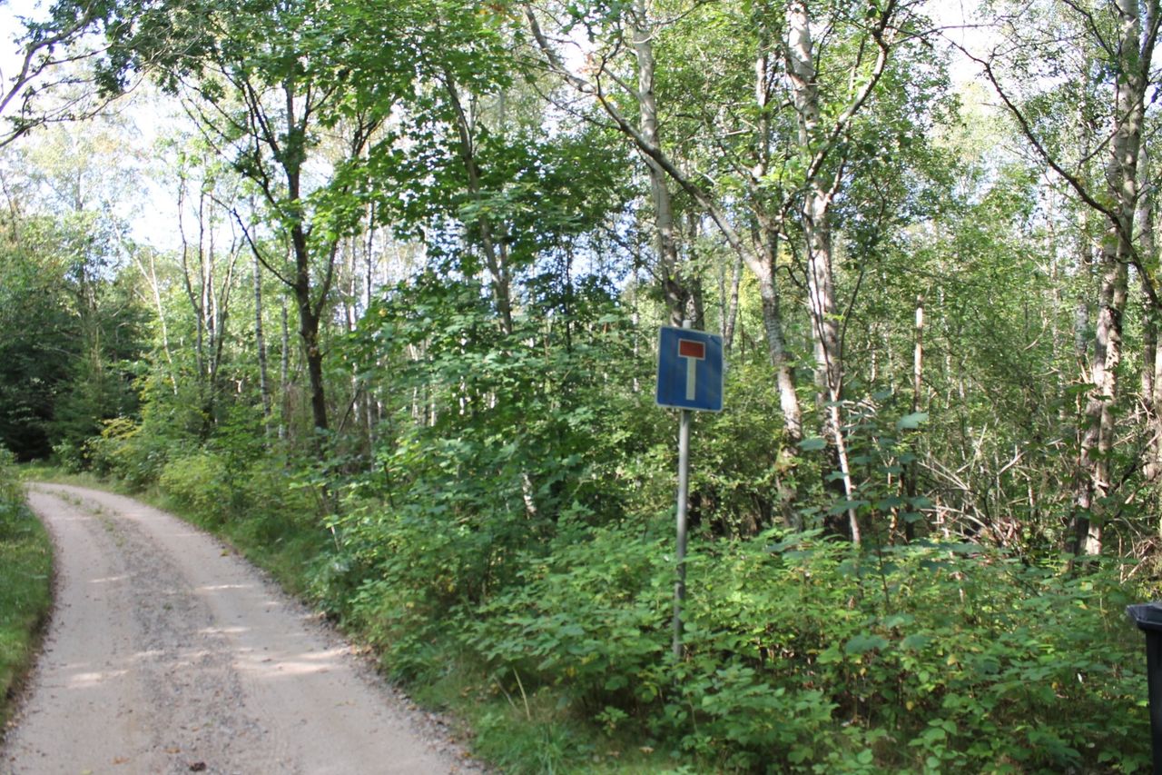 image 02