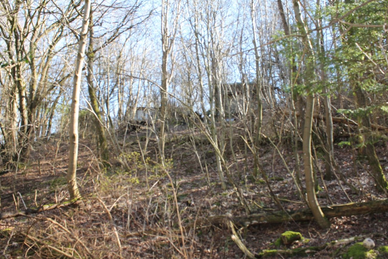 image 02