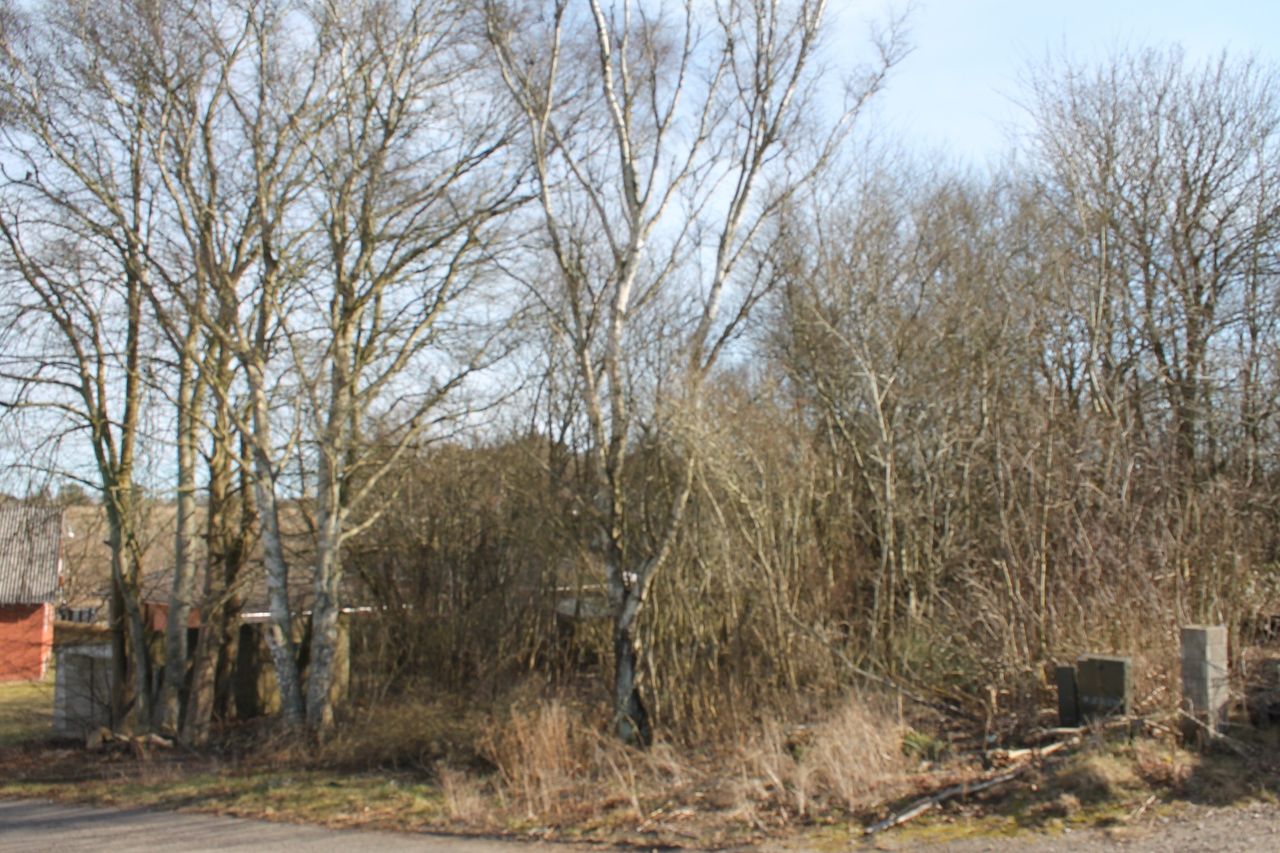 image 02