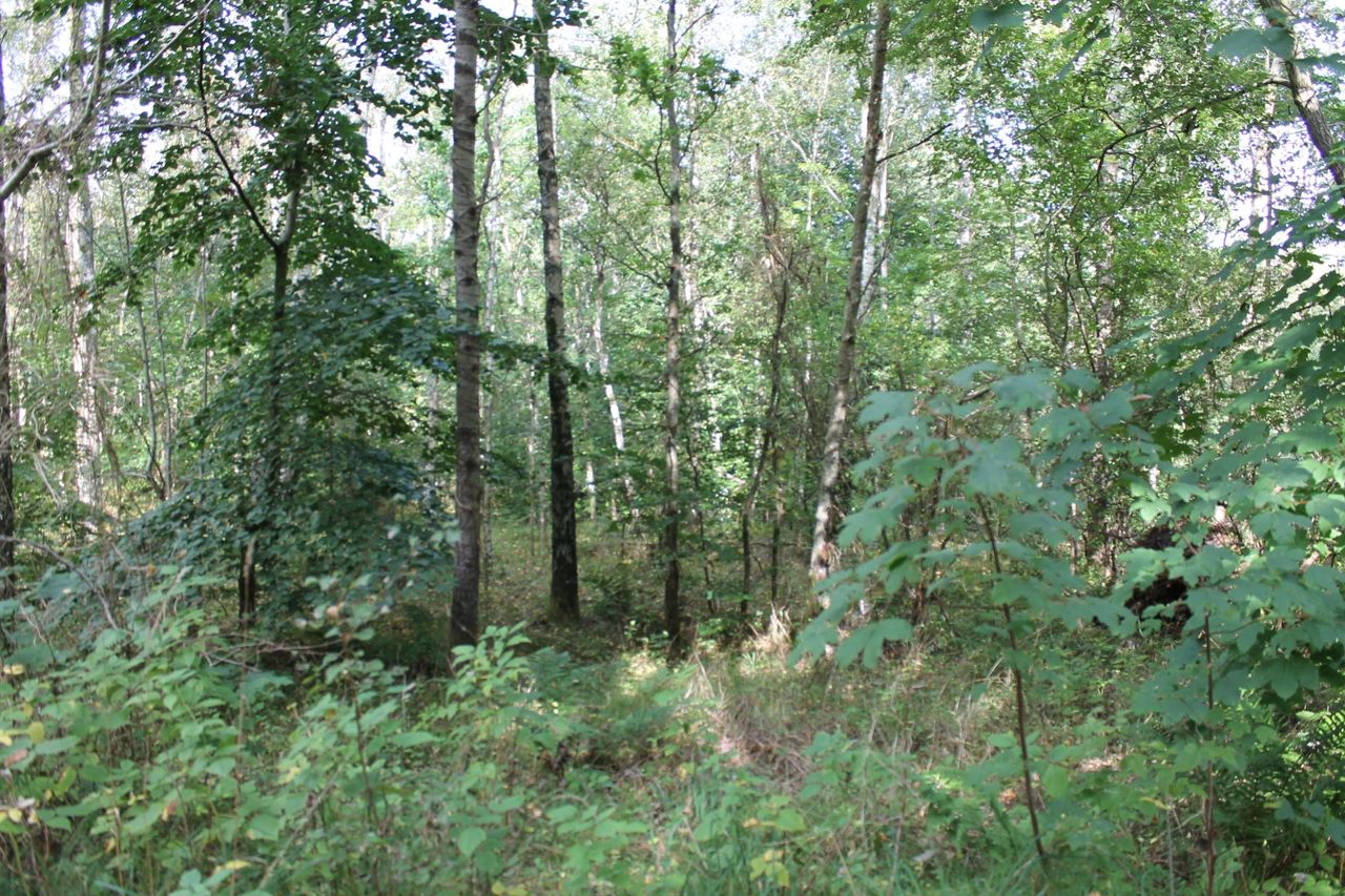 image 03