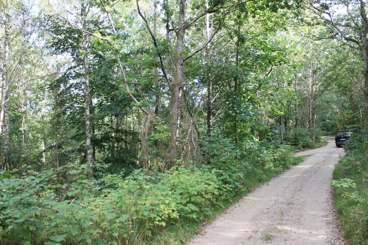 image 04